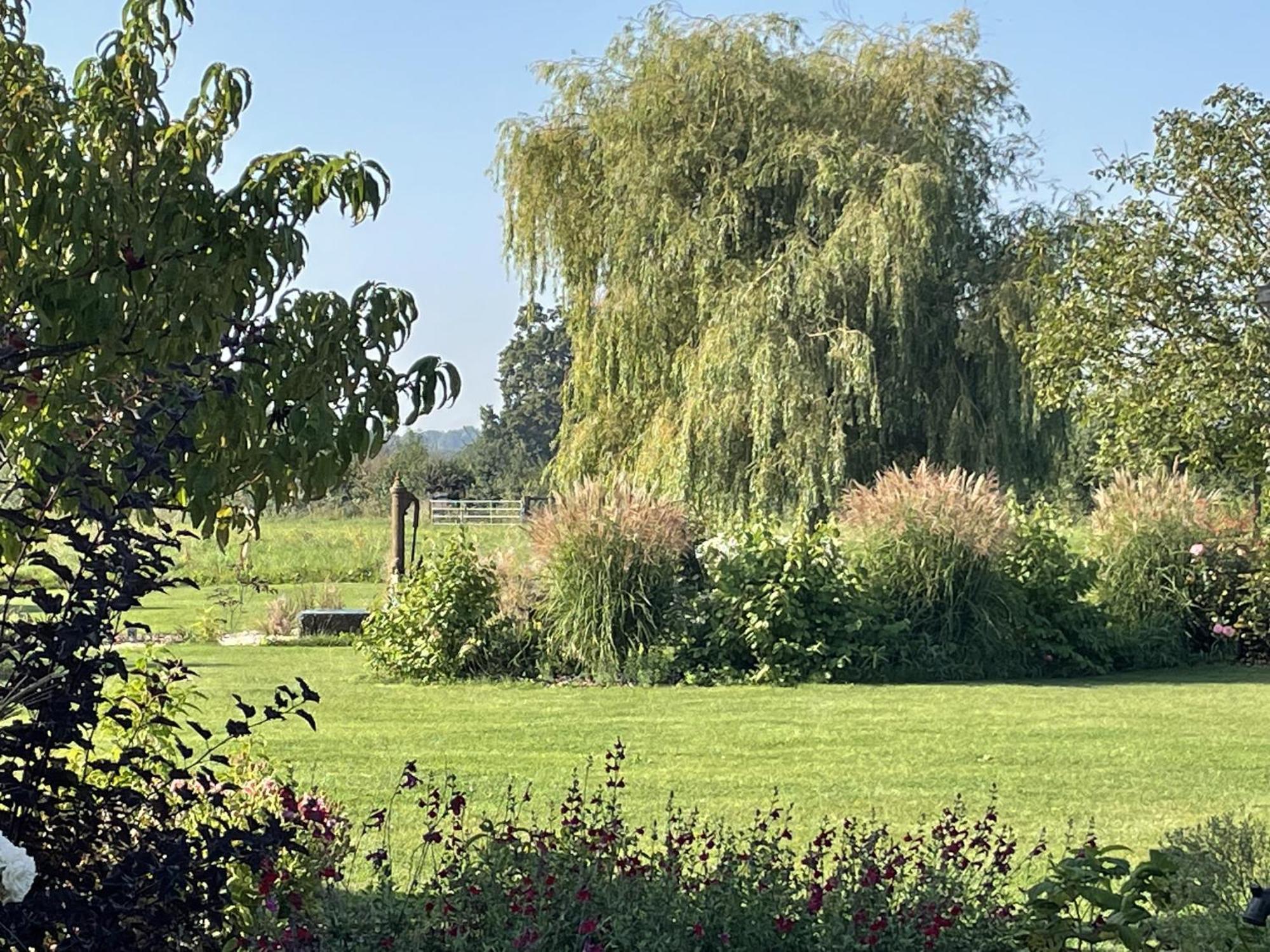 Aurefees Bed & Breakfast Ellon Eksteriør bilde